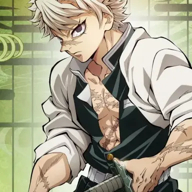 Profile image of 시나즈가와 사네미