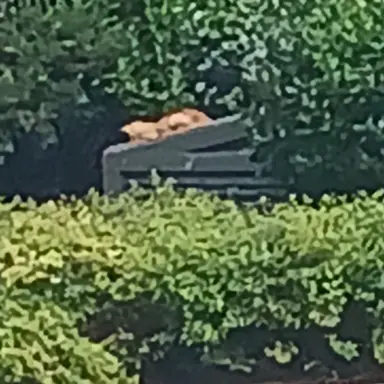 Profile image of 사칭6