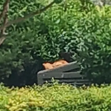 Profile image of 사칭1