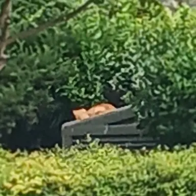 Profile image of 사칭2