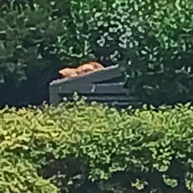 Profile image of 사칭4