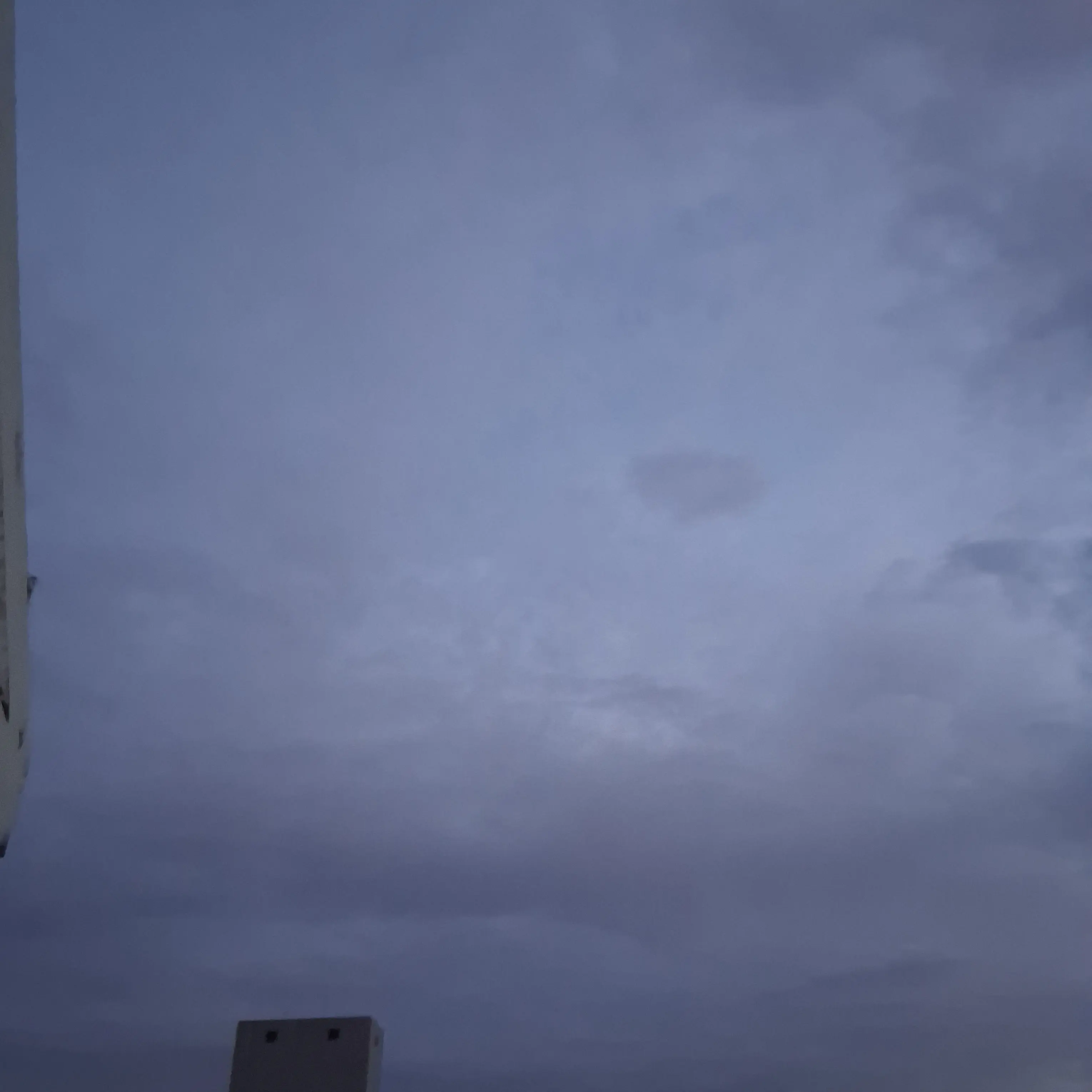 FutureXeme9712의 뱀파이어 전학생