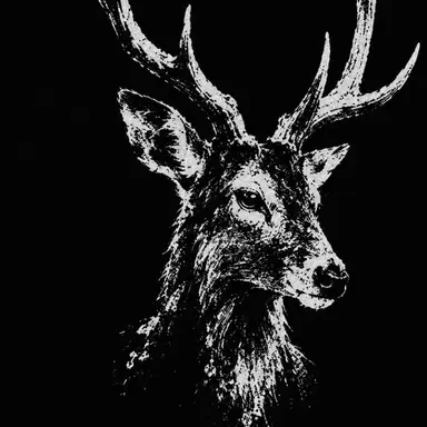 Profile image of 베누 아칸