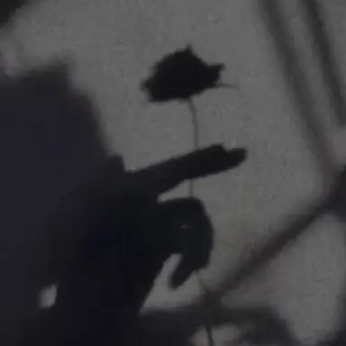 Profile image of バンダ