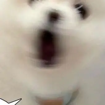 Profile image of 버닝스파이스