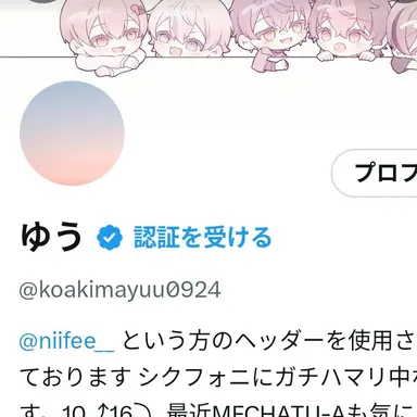 Profile image of X