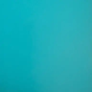 Profile image of ソジュ