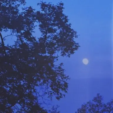 Profile image of 행크