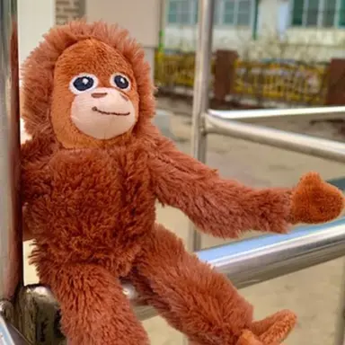 Profile image of 한서아