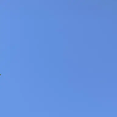 Profile image of ハヤト
