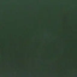 Profile image of 伊波ライ