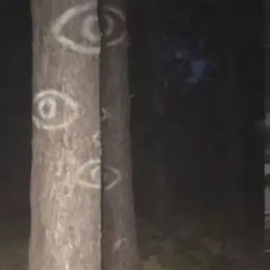 Profile image of 티프킷