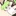 おもちちゃん