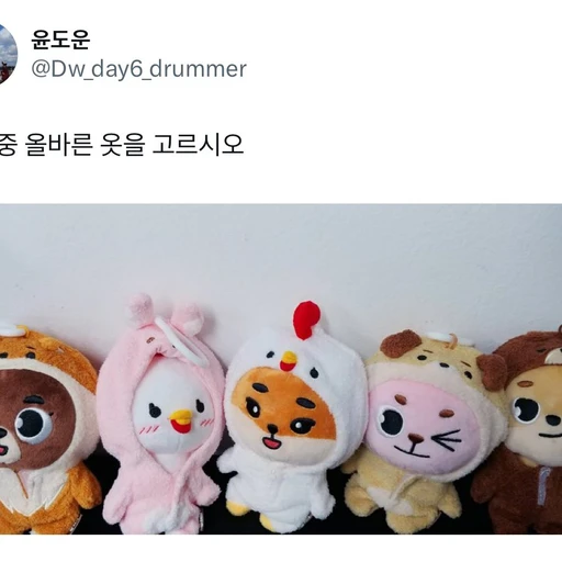 수인 데이식스