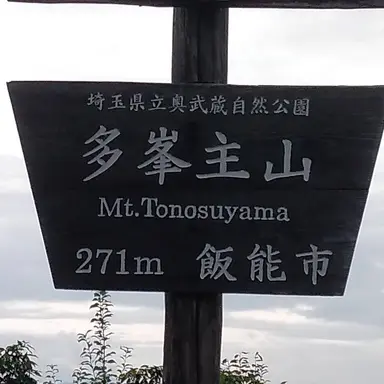Profile image of 多峯主山