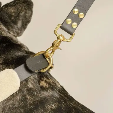 Profile image of 이주환