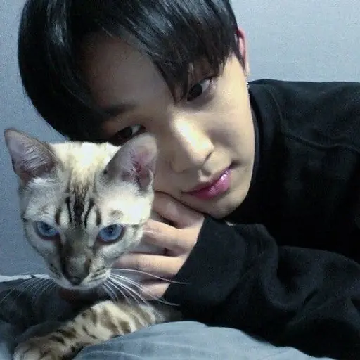 Ilhnys1zz의 임현식
