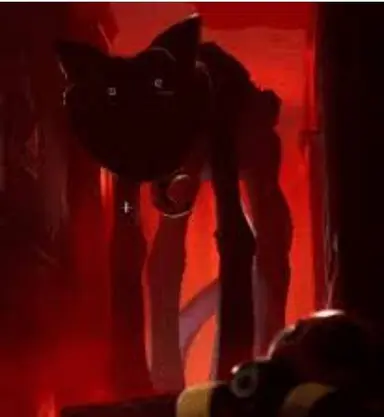 Profile image of CatNap