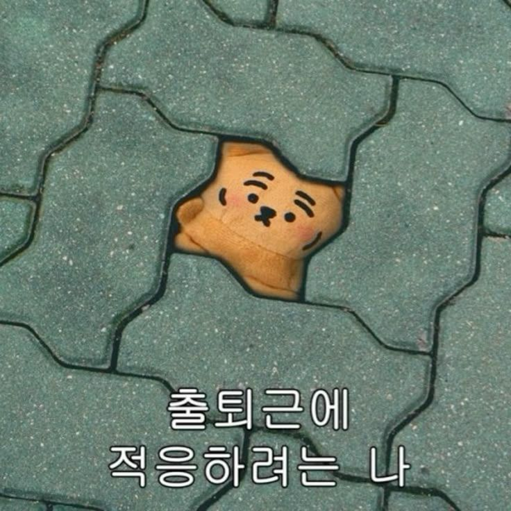 공지 대표 이미지
