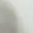 지성