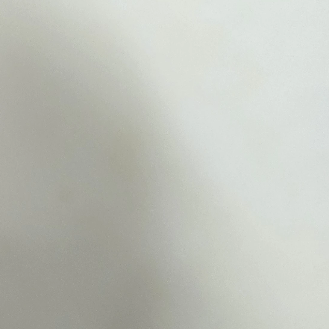 지성