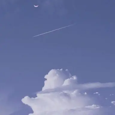 Profile image of 厳矢