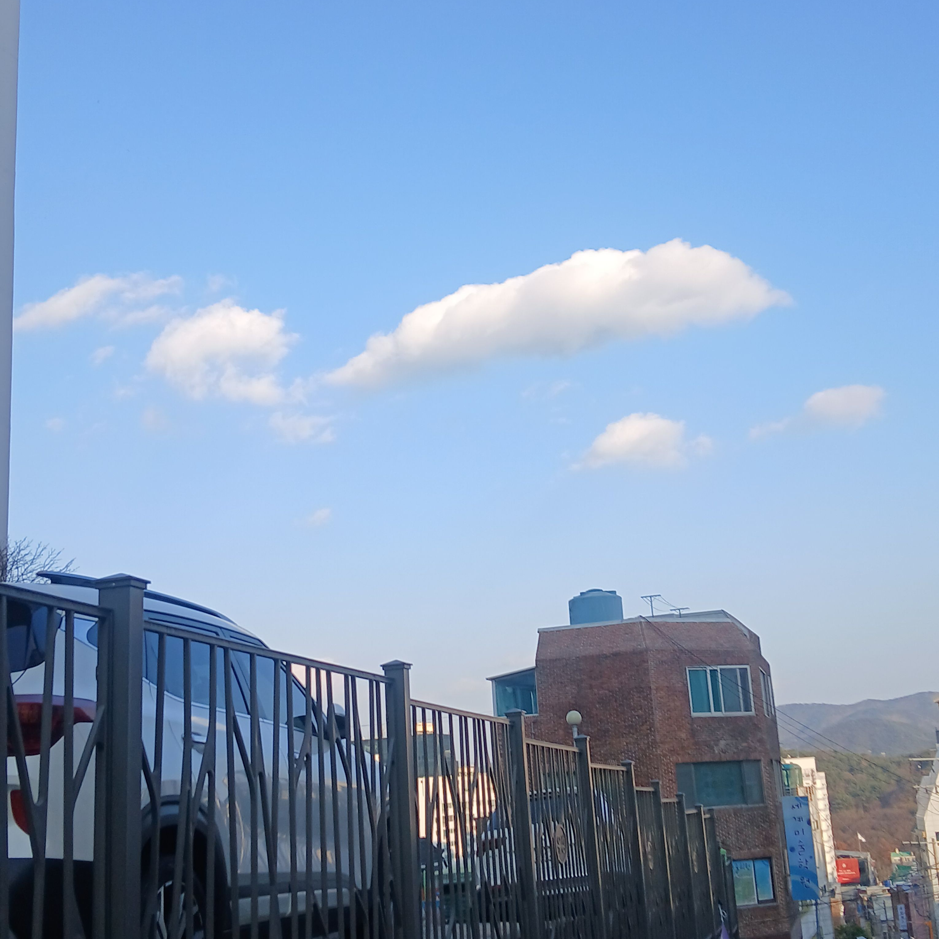 밤보눈 유저는 공룡너무 공룡만하나하하 대표 이미지