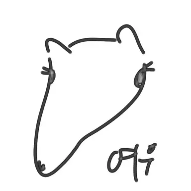 Profile image of 여우