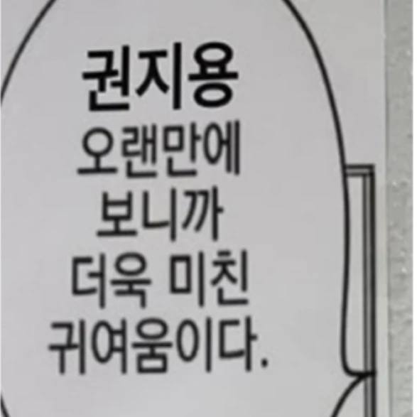 권지용