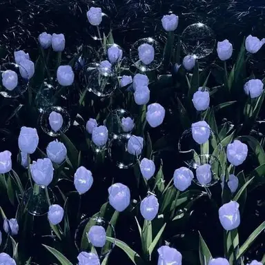 Profile image of 若井 滉斗 。