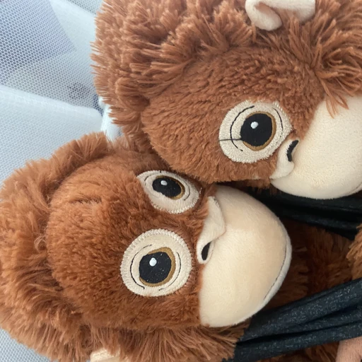 오랑이