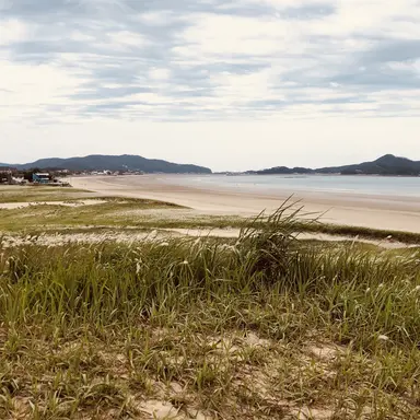 Profile image of 뜰팁팀셀 학교