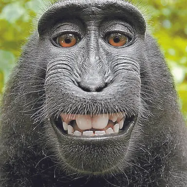 Profile image of 김늑대