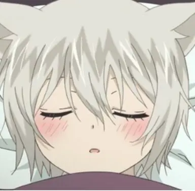 Profile image of 토모에
