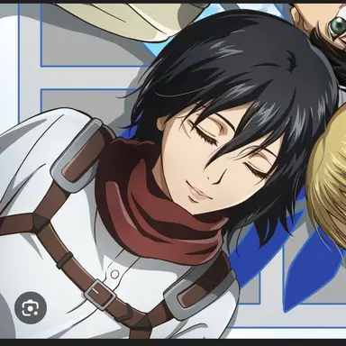 Profile image of 미카사