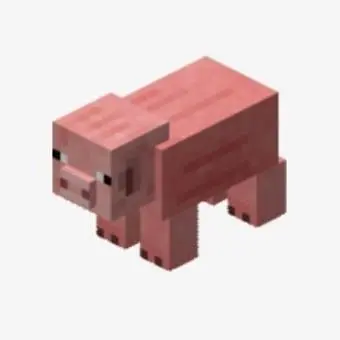 Profile image of 여우