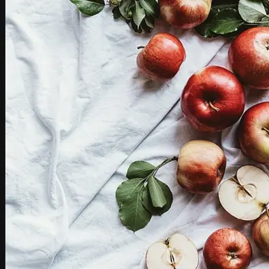 Profile image of 마플