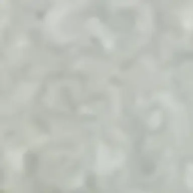 Profile image of 스핀