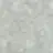 스핀