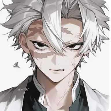 Profile image of 시나즈가와 사네미