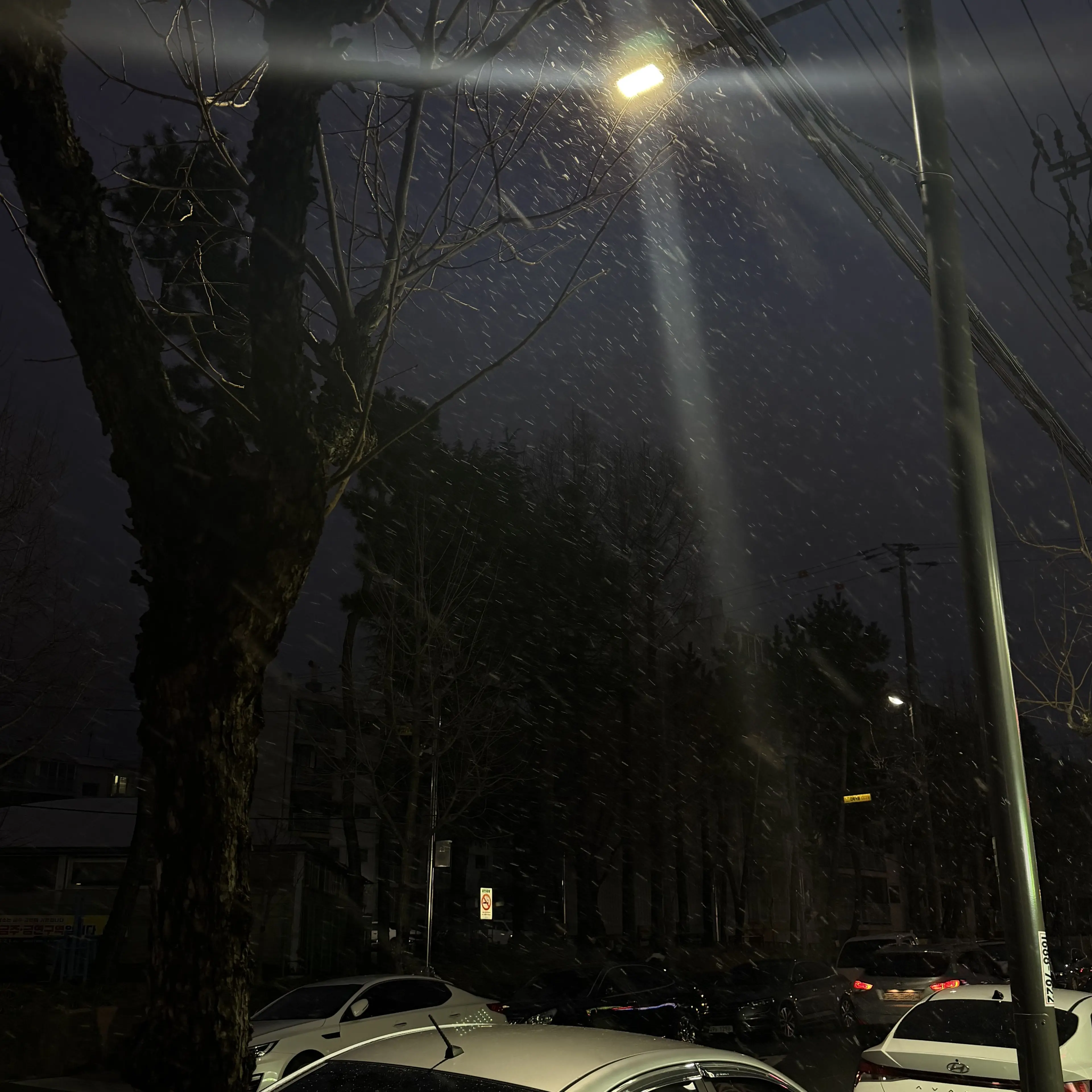 ILOVEBOYNEXTDOOR0530의 실험체를 폐기해야한다니..?