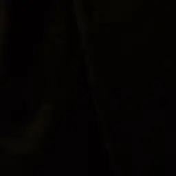 Profile image of 이리오