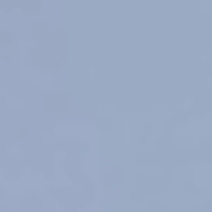싸이코 또는 평민