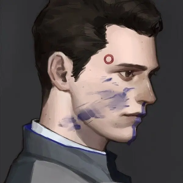 NNvvid의 RK800