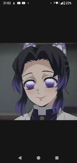 Profile image of 胡蝶しのぶ
