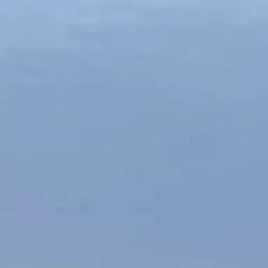 Profile image of ㄱㅇㅎ