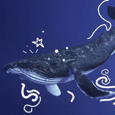 Profile image of Kai