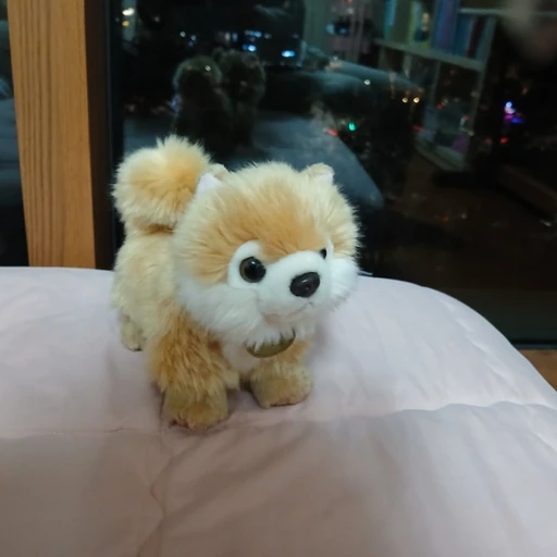 강아지 퐁키