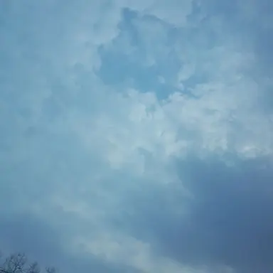 Profile image of 김각별