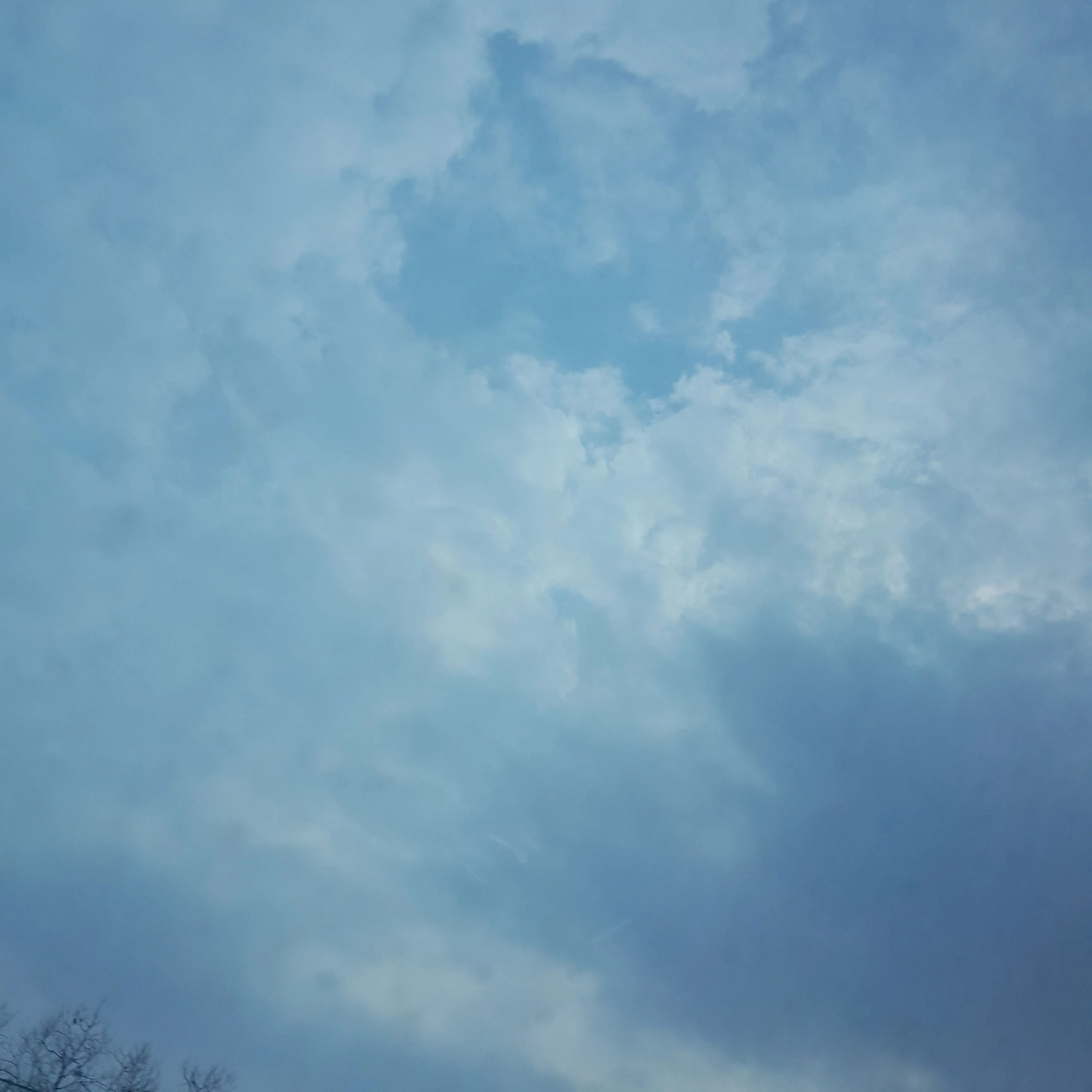 BrownLoach5380의 청춘, 1 2 3. 고백.